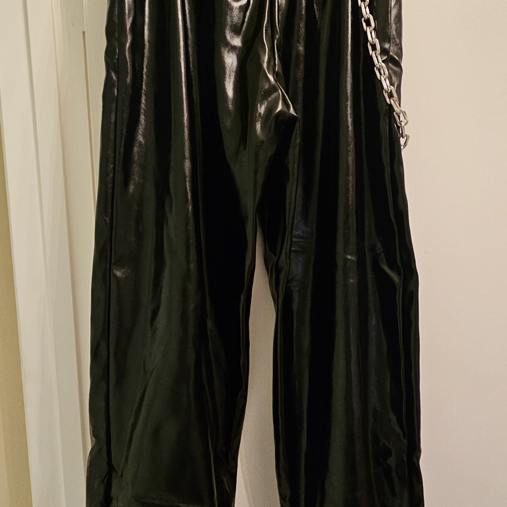 Ladies patent pants